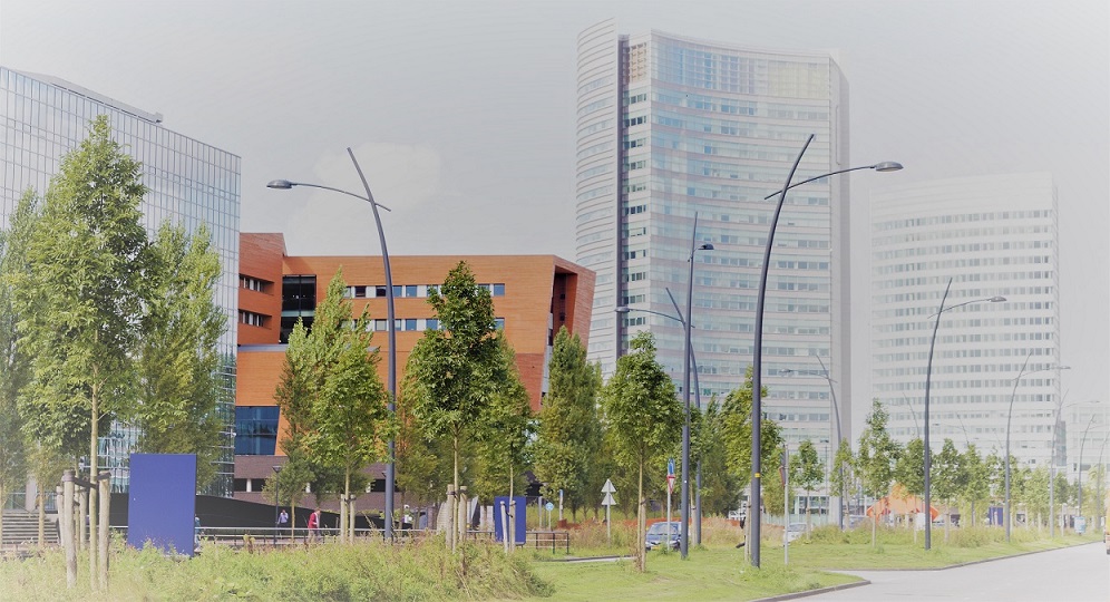 DCI_HOOFDDORP.com